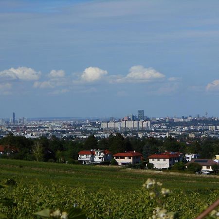 Top Over Vienna, Perchtoldsdorf Weinberge Ideal With Car Apartment Bagian luar foto