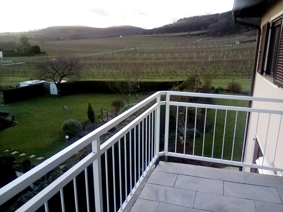 Top Over Vienna, Perchtoldsdorf Weinberge Ideal With Car Apartment Bagian luar foto